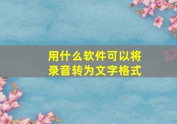 用什么软件可以将录音转为文字格式