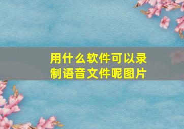 用什么软件可以录制语音文件呢图片