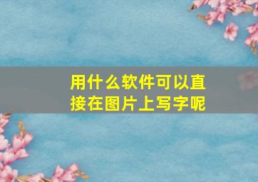 用什么软件可以直接在图片上写字呢