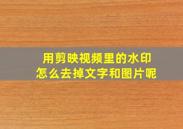 用剪映视频里的水印怎么去掉文字和图片呢