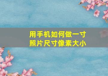 用手机如何做一寸照片尺寸像素大小