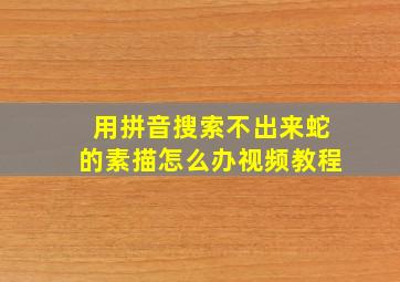 用拼音搜索不出来蛇的素描怎么办视频教程