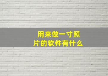 用来做一寸照片的软件有什么