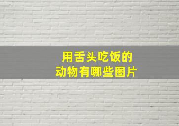 用舌头吃饭的动物有哪些图片