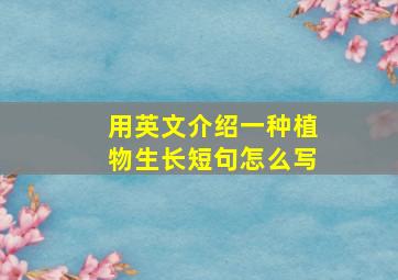 用英文介绍一种植物生长短句怎么写