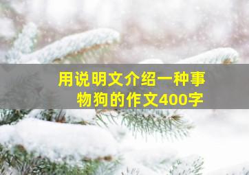 用说明文介绍一种事物狗的作文400字