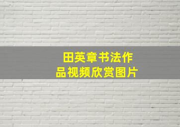 田英章书法作品视频欣赏图片