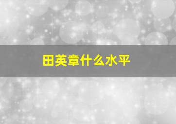 田英章什么水平