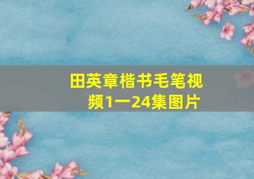 田英章楷书毛笔视频1一24集图片