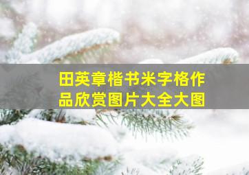 田英章楷书米字格作品欣赏图片大全大图