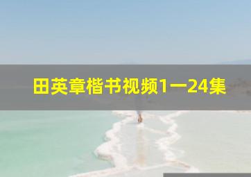 田英章楷书视频1一24集