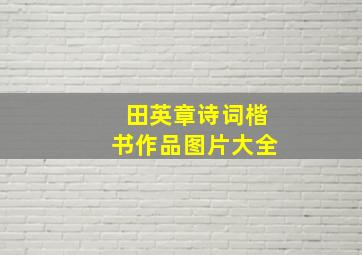 田英章诗词楷书作品图片大全