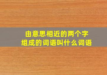 由意思相近的两个字组成的词语叫什么词语