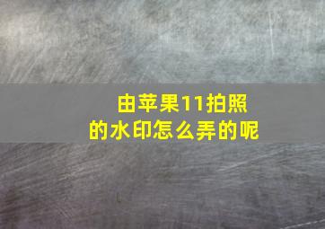 由苹果11拍照的水印怎么弄的呢