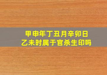 甲申年丁丑月辛卯日乙未时属于官杀生印吗