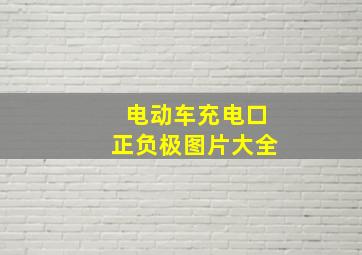 电动车充电口正负极图片大全