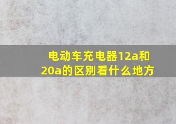 电动车充电器12a和20a的区别看什么地方