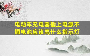 电动车充电器插上电源不插电池应该亮什么指示灯