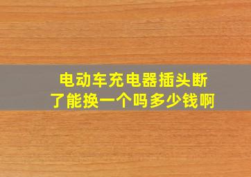 电动车充电器插头断了能换一个吗多少钱啊