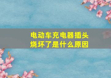 电动车充电器插头烧坏了是什么原因