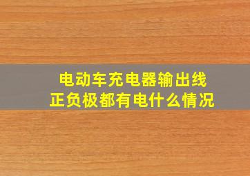 电动车充电器输出线正负极都有电什么情况