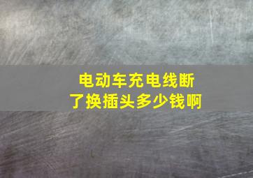 电动车充电线断了换插头多少钱啊