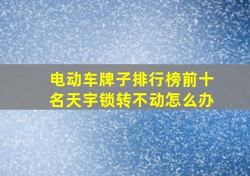 电动车牌子排行榜前十名天宇锁转不动怎么办