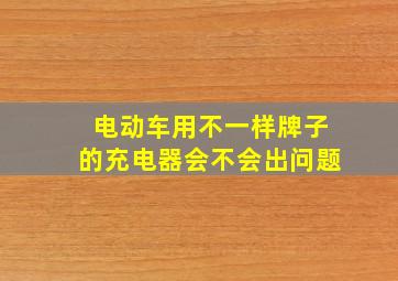 电动车用不一样牌子的充电器会不会出问题