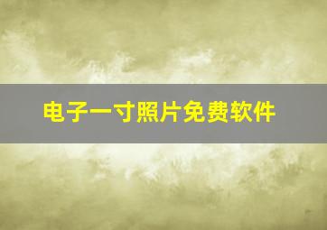 电子一寸照片免费软件