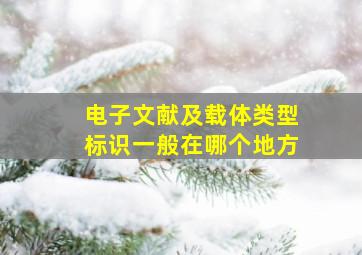 电子文献及载体类型标识一般在哪个地方