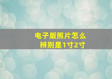 电子版照片怎么辨别是1寸2寸