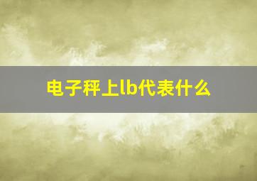 电子秤上lb代表什么