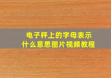 电子秤上的字母表示什么意思图片视频教程