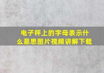 电子秤上的字母表示什么意思图片视频讲解下载