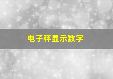 电子秤显示数字