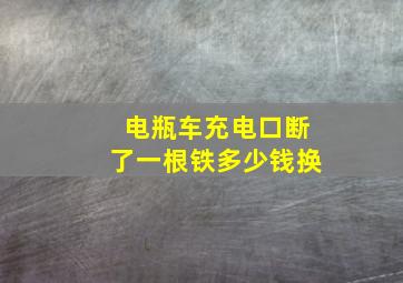 电瓶车充电口断了一根铁多少钱换