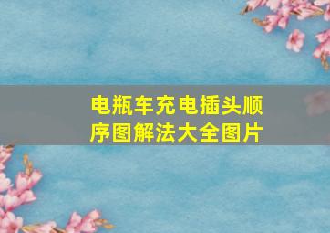 电瓶车充电插头顺序图解法大全图片