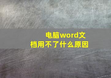 电脑word文档用不了什么原因