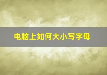 电脑上如何大小写字母