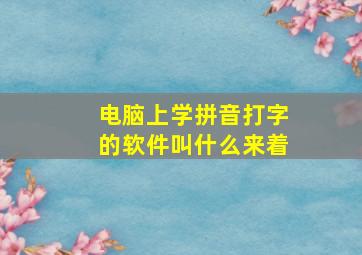 电脑上学拼音打字的软件叫什么来着