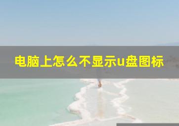 电脑上怎么不显示u盘图标