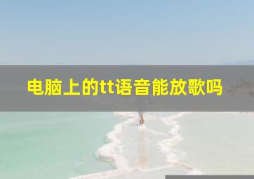 电脑上的tt语音能放歌吗