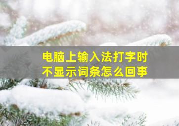 电脑上输入法打字时不显示词条怎么回事