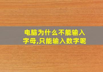 电脑为什么不能输入字母,只能输入数字呢