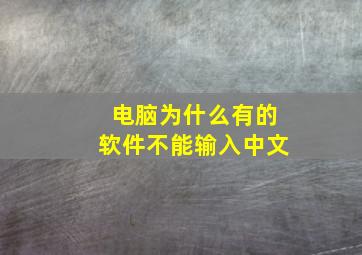 电脑为什么有的软件不能输入中文