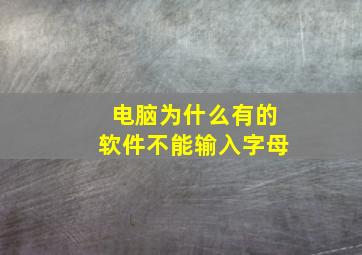 电脑为什么有的软件不能输入字母