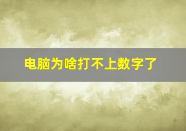 电脑为啥打不上数字了