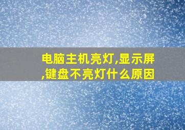 电脑主机亮灯,显示屏,键盘不亮灯什么原因