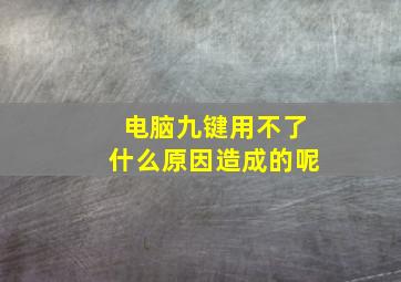 电脑九键用不了什么原因造成的呢