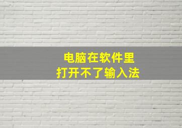 电脑在软件里打开不了输入法